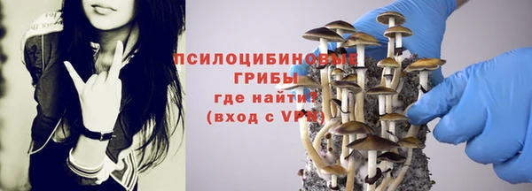 круглые Алексеевка