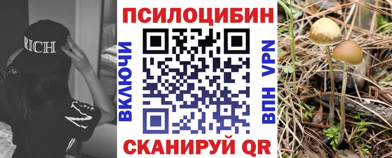 KRAKEN Мышкин Псилоцибиновые грибы мицелий как найти закладки